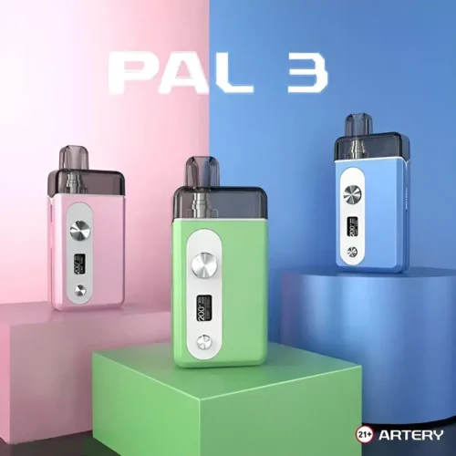 artery-pal3-動脈8